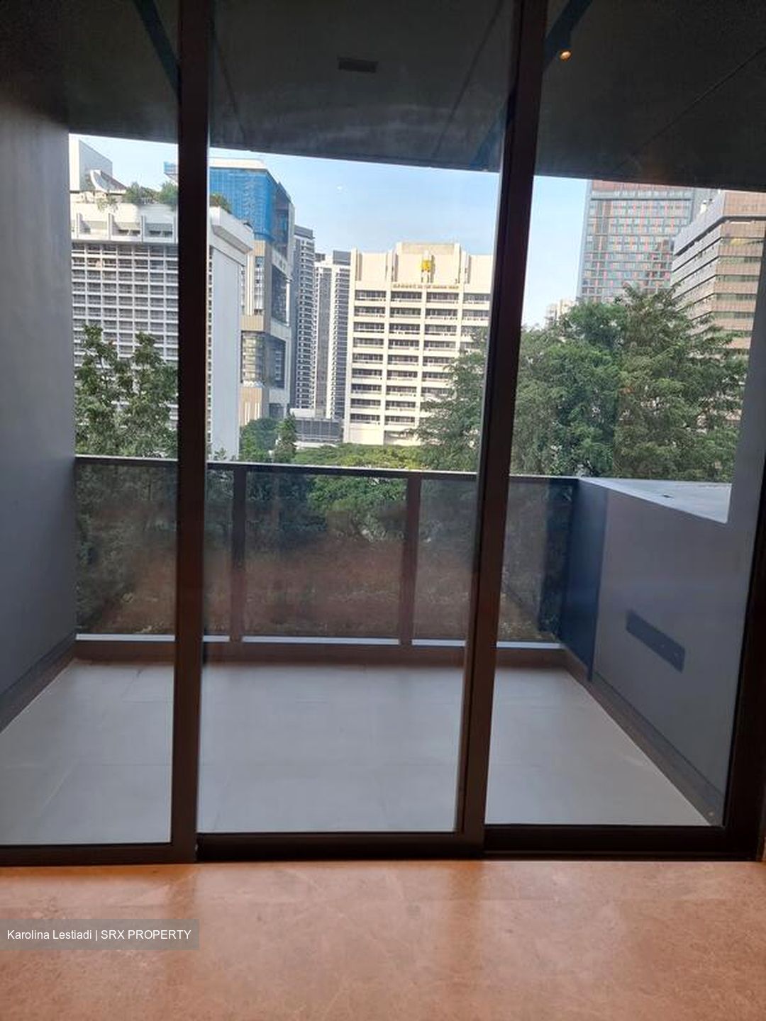 3 Cuscaden (D10), Apartment #469110931